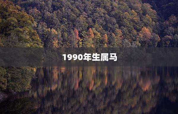 1990年生属马