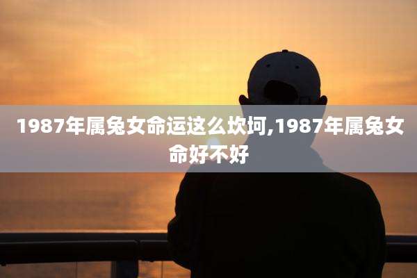 1987年属兔女命运这么坎坷,1987年属兔女命好不好