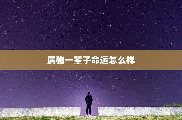 属猪一辈子命运怎么样