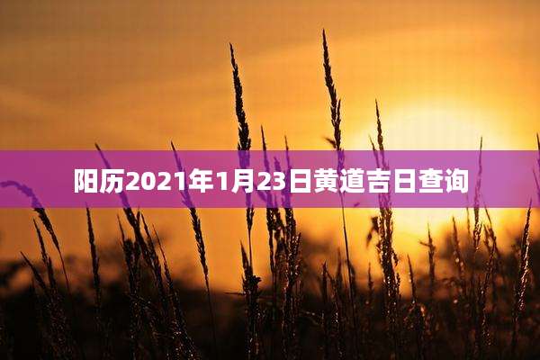 阳历2021年1月23日黄道吉日查询