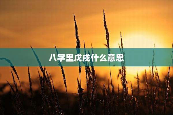 八字里戊戌什么意思