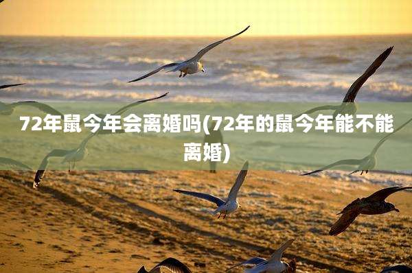 72年鼠今年会离婚吗(72年的鼠今年能不能离婚)