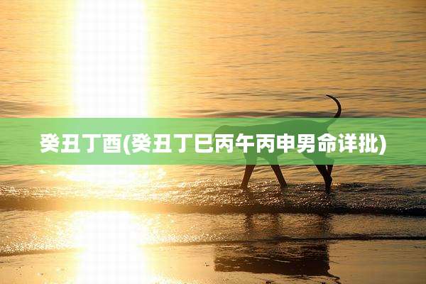 癸丑丁酉(癸丑丁巳丙午丙申男命详批)