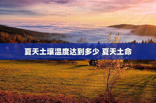 夏天土壤温度达到多少 夏天土命