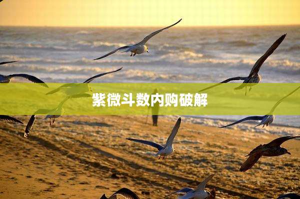 紫微斗数内购破解
