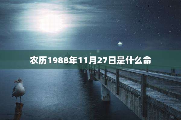 农历1988年11月27日是什么命