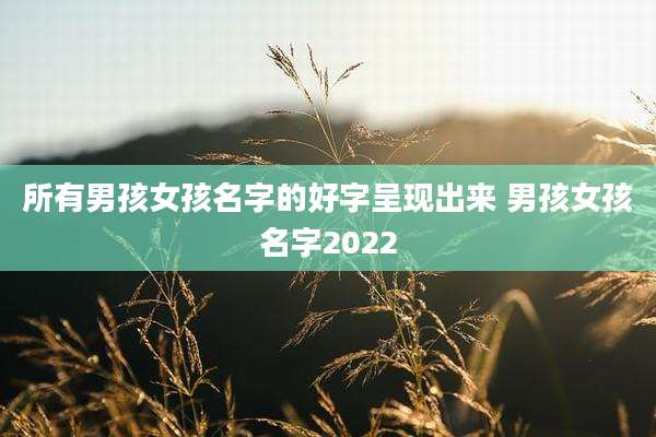 所有男孩女孩名字的好字呈现出来 男孩女孩名字2022