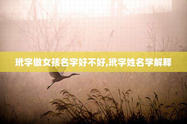 玳字做女孩名字好不好,玳字姓名学解释