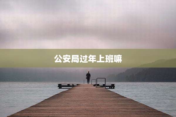 公安局过年上班嘛
