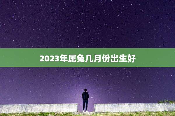 2023年属兔几月份出生好