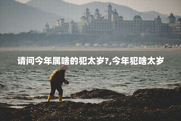 请问今年属啥的犯太岁?,今年犯啥太岁