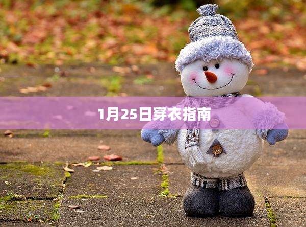 1月25日穿衣指南