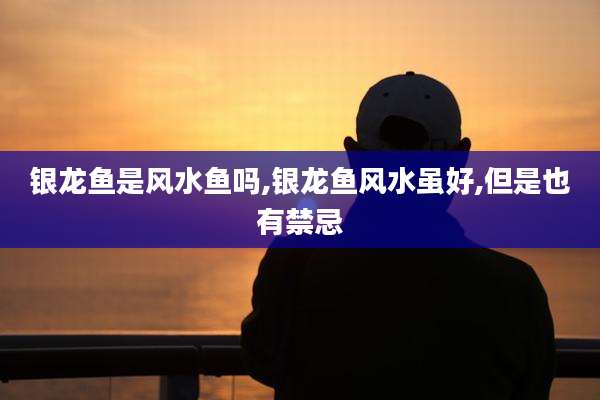 银龙鱼是风水鱼吗,银龙鱼风水虽好,但是也有禁忌