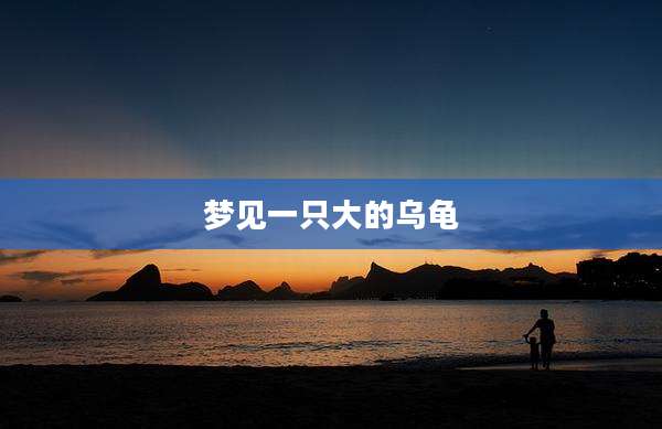 梦见一只大的乌龟