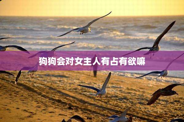 狗狗会对女主人有占有欲嘛