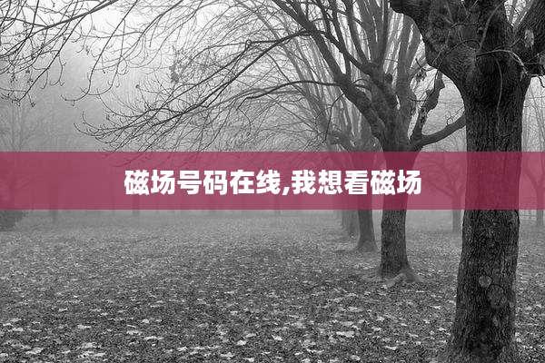 磁场号码在线,我想看磁场