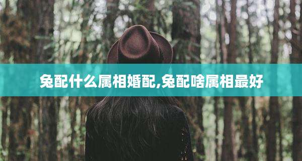 兔配什么属相婚配,兔配啥属相最好