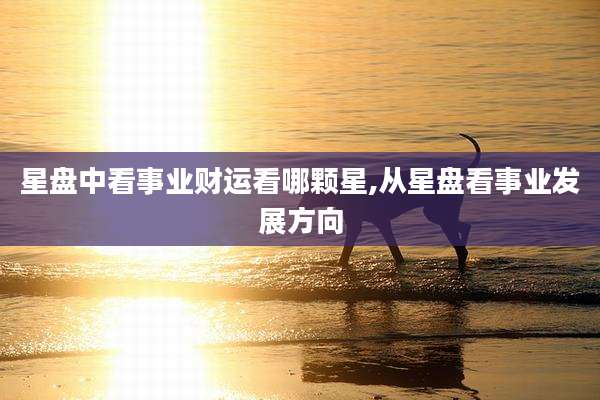 星盘中看事业财运看哪颗星,从星盘看事业发展方向