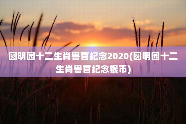 圆明园十二生肖兽首纪念2020(圆明园十二生肖兽首纪念银币)