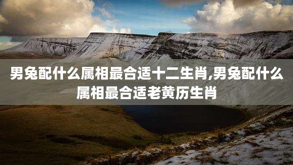 男兔配什么属相最合适十二生肖,男兔配什么属相最合适老黄历生肖