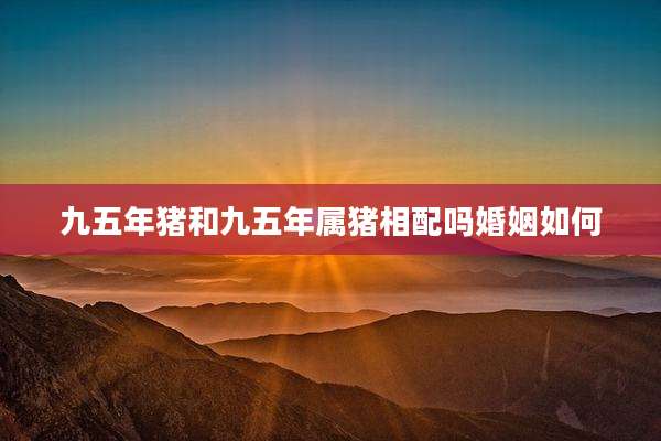 九五年猪和九五年属猪相配吗婚姻如何