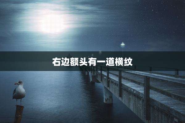 右边额头有一道横纹