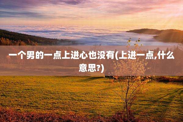 一个男的一点上进心也没有(上进一点,什么意思?)