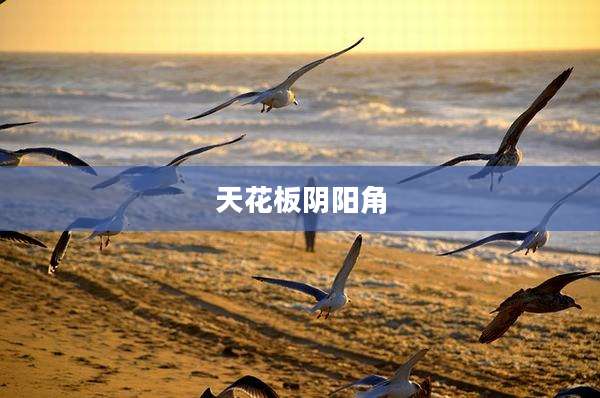 天花板阴阳角