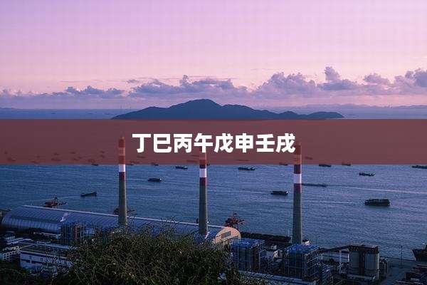 丁巳丙午戊申壬戌
