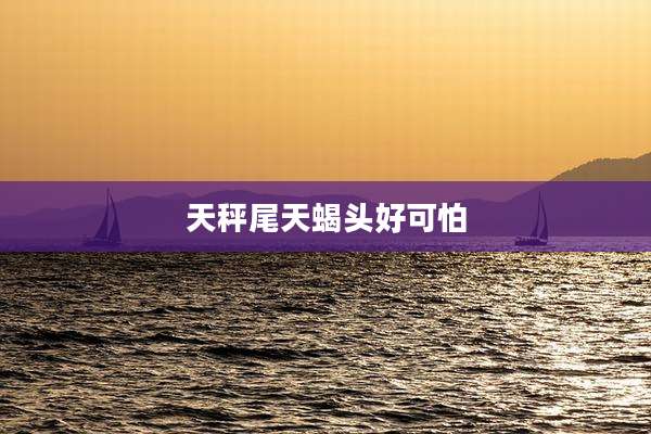 天秤尾天蝎头好可怕