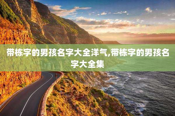 带栋字的男孩名字大全洋气,带栋字的男孩名字大全集