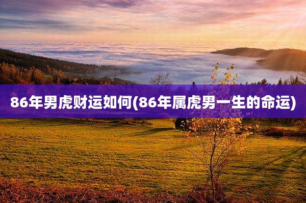 86年男虎财运如何(86年属虎男一生的命运)