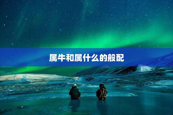 属牛和属什么的般配
