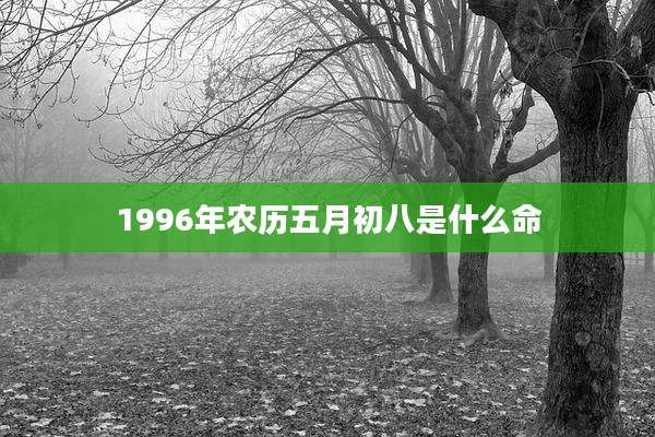 1996年农历五月初八是什么命