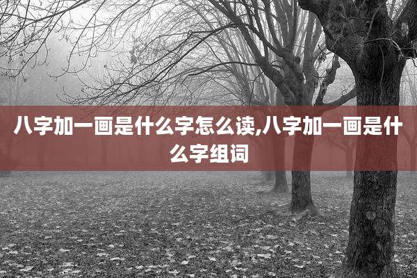 八字加一画是什么字怎么读,八字加一画是什么字组词
