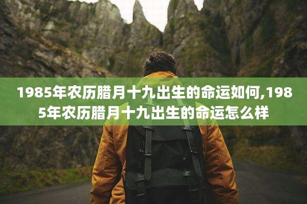 1985年农历腊月十九出生的命运如何,1985年农历腊月十九出生的命运怎么样
