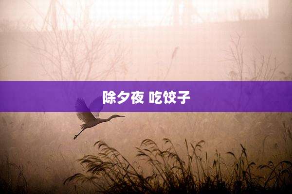 除夕夜 吃饺子