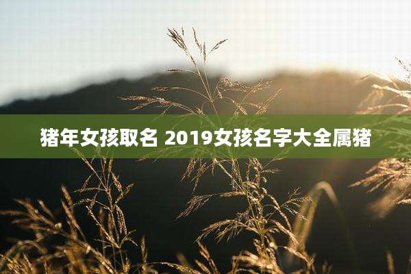 猪年女孩取名 2019女孩名字大全属猪