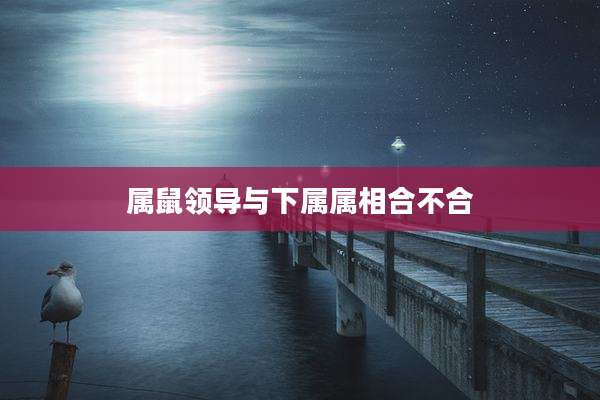 属鼠领导与下属属相合不合