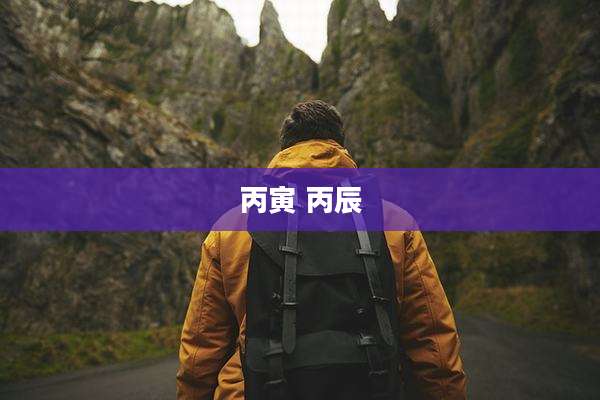 丙寅 丙辰
