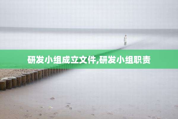 研发小组成立文件,研发小组职责