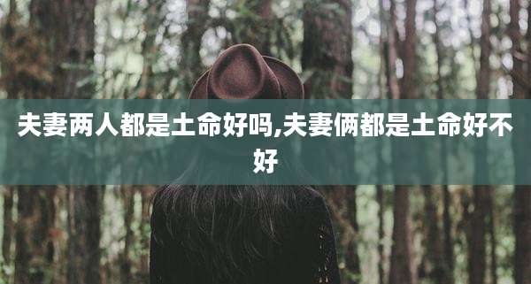 夫妻两人都是土命好吗,夫妻俩都是土命好不好