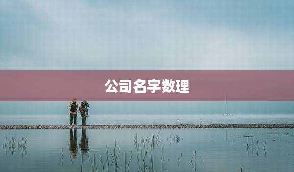 公司名字数理