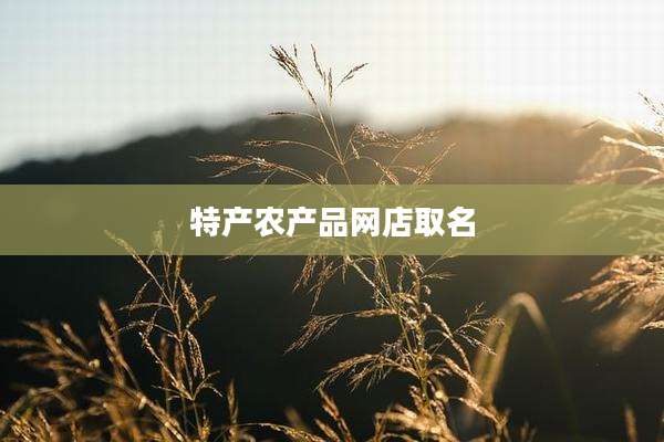 特产农产品网店取名