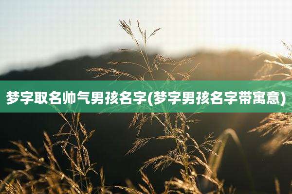 梦字取名帅气男孩名字(梦字男孩名字带寓意)