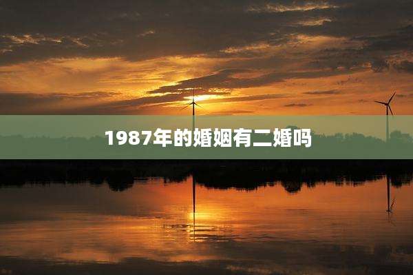 1987年的婚姻有二婚吗