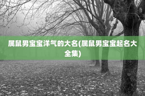属鼠男宝宝洋气的大名(属鼠男宝宝起名大全集)