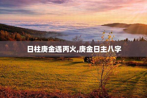 日柱庚金遇丙火,庚金日主八字