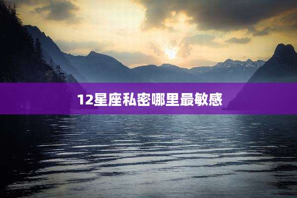 12星座私密哪里最敏感