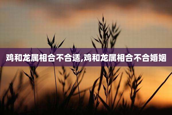 鸡和龙属相合不合适,鸡和龙属相合不合婚姻